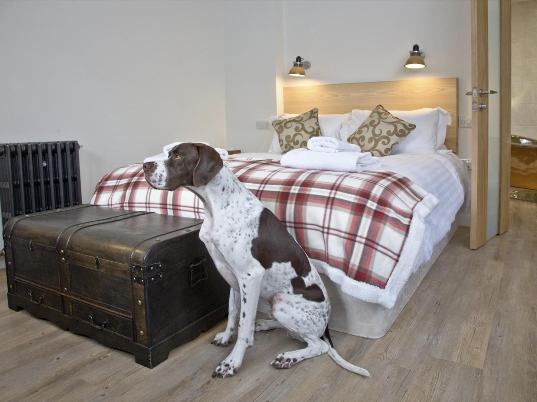 The Fortescue Inn Salcombe Chambre photo